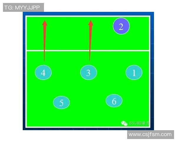 北京排球队的战术调整与球员表现分析及未来发展方向探讨 北京排球队的战术调整与球员表现分析及未来发展方向探讨