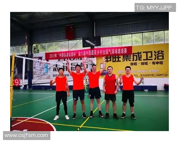 排球心理素质分析：武汉排球队荣登全国第六名榜单