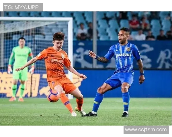 深圳排球队灵活性引发热议球迷与专家观点大碰撞