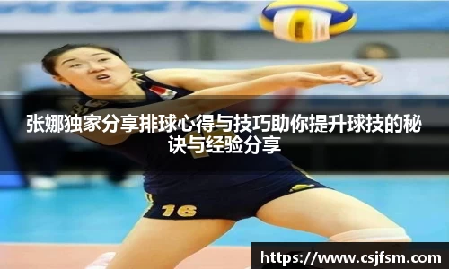 必一运动B-Sports